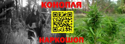 бошки Кинель