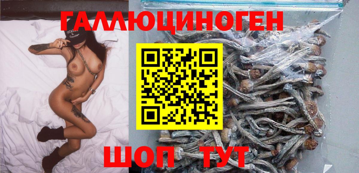 Псилоцибиновые грибы мицелий  Вход с VPN  Армавир  Галлюциногенные грибы GOLDEN TEACHER 